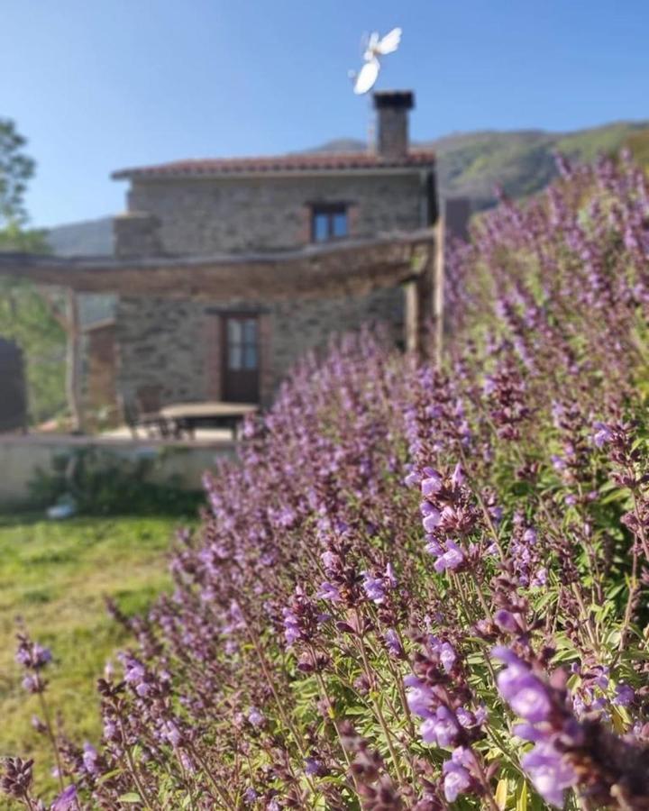 Can Rovira De Fogars Vila Montseny Exterior foto